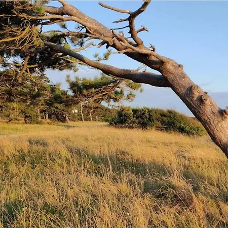 4 Person In Slagelse-by Traum Prázdninový dům *