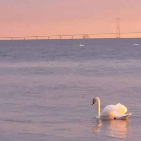 4 Person In Slagelse-by Traum