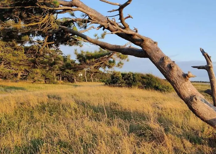 4 Person In Slagelse-by Traum Сasa de vacaciones *