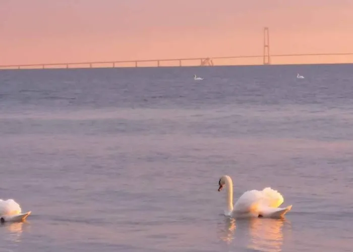 4 Person In Slagelse-by Traum